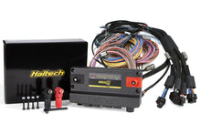 Load image into Gallery viewer, Haltech NEXUS R5 Universal Wire-In Harness Kit - 5M (16ft)