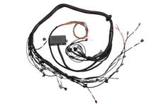 Load image into Gallery viewer, Haltech Toyota 2JZ Elite 2000/2500 Terminated Engine Harness