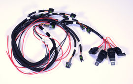 FAST Coil Harness, Coyote, XR-1A Coils