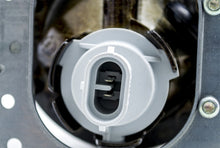 Load image into Gallery viewer, Photo - Unmounted