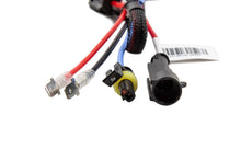 Cargar imagen en el visor de la galería, User 3