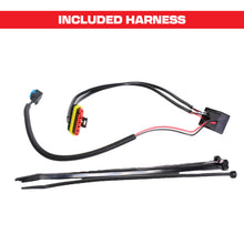 Load image into Gallery viewer, Photo - Unmounted