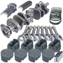 Load image into Gallery viewer, Photo - Primary