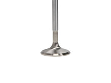 Cargar imagen en el visor de la galería, User 3