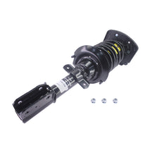 Cargar imagen en el visor de la galería, KYB Shocks &amp; Struts Strut Plus Rear Left BUICK Century 1997-05 BUICK Regal 1997-04 CHEVROLET Impala