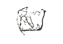 Cargar imagen en el visor de la galería, Ford Racing 5.0L Coyote Engine Harness for Automatic Transmission