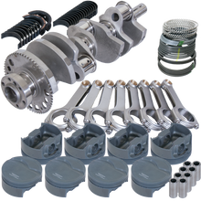 Load image into Gallery viewer, Photo - Primary