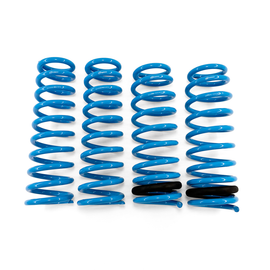 BLOX Racing Lowering Springs 92-95 Honda Civic Del Sol
