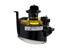 Load image into Gallery viewer, Photo - Close Up