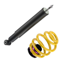 Cargar imagen en el visor de la galería, User 5