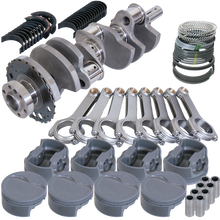 Load image into Gallery viewer, Photo - Primary