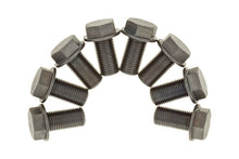 Cargar imagen en el visor de la galería, Photo - Primary