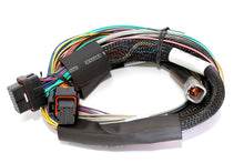 Cargar imagen en el visor de la galería, Haltech Elite 1000 8ft Basic Universal Wire-In Harness (Excl Relays or Fuses)