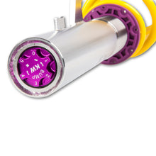 Cargar imagen en el visor de la galería, User 5