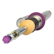 Cargar imagen en el visor de la galería, User 6