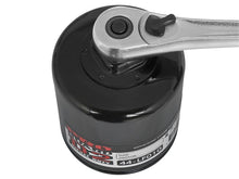 Cargar imagen en el visor de la galería, aFe Pro GUARD D2 Oil Filter 00-14 GM Gas Trucks V6 4.3L (4 Pack)