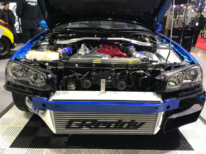 Photo - Close Up