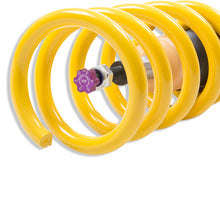 Cargar imagen en el visor de la galería, User 4