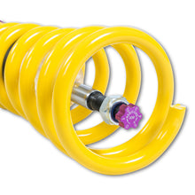 Cargar imagen en el visor de la galería, User 4