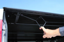 Cargar imagen en el visor de la galería, Photo - Mounted