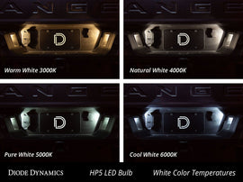 Diode Dynamics 194 LED Bulb HP5 LED Warm - White (Pair)