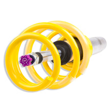 Cargar imagen en el visor de la galería, User 4