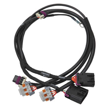 Cargar imagen en el visor de la galería, Edelbrock Chevy LS 24x Crank/Cam Pro-Flo 4+ EFI Ignition &amp; Engine Position Harness