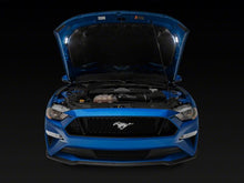 Load image into Gallery viewer, Photo - Close Up