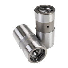 Load image into Gallery viewer, Photo - in package