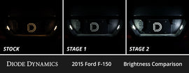 Diode Dynamics 15-20 d F-150 Interior LED Kit Cool White Stage 2