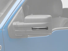 Cargar imagen en el visor de la galería, Photo - Primary