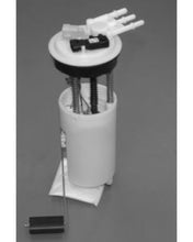 Cargar imagen en el visor de la galería, User 1