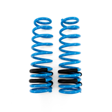 BLOX Racing Lowering Springs 96-00 Honda Civic