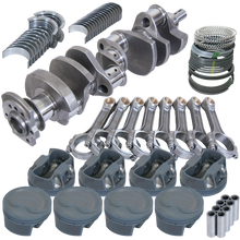 Load image into Gallery viewer, Photo - Primary