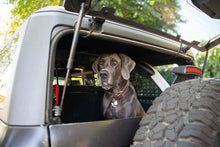Cargar imagen en el visor de la galería, DV8 Offroad 2021-2024 Ford Bronco Dog Barrier
