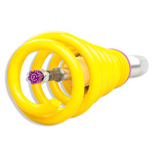 Cargar imagen en el visor de la galería, User 4