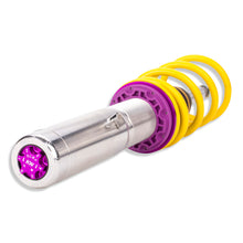 Cargar imagen en el visor de la galería, User 5