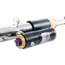 Cargar imagen en el visor de la galería, User 7