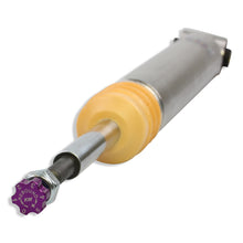 Cargar imagen en el visor de la galería, User 5