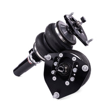 Cargar imagen en el visor de la galería, User 1