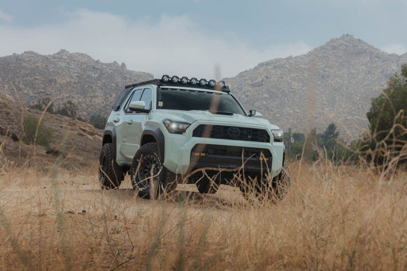 DV8 Offroad 25-26 Toyota 4Runner Exterior Window Molles (Use w/ PN dveRRTF3-02) - Driver & Passenger