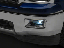 Load image into Gallery viewer, Photo - Close Up