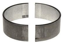 Cargar imagen en el visor de la galería, User 1