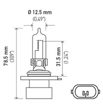 Cargar imagen en el visor de la galería, Technical Drawing
