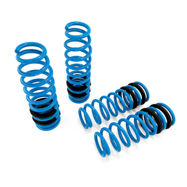 BLOX Racing Lowering Springs 96-00 Honda Civic