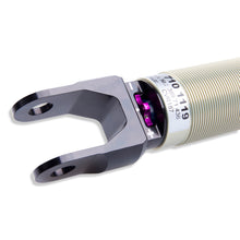 Cargar imagen en el visor de la galería, User 5