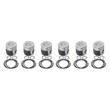 Cargar imagen en el visor de la galería, User 1