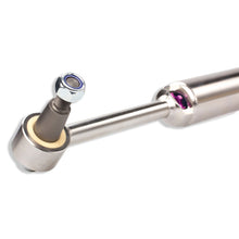 Cargar imagen en el visor de la galería, User 5