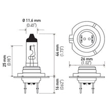 Cargar imagen en el visor de la galería, Technical Drawing