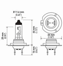 Cargar imagen en el visor de la galería, Technical Drawing